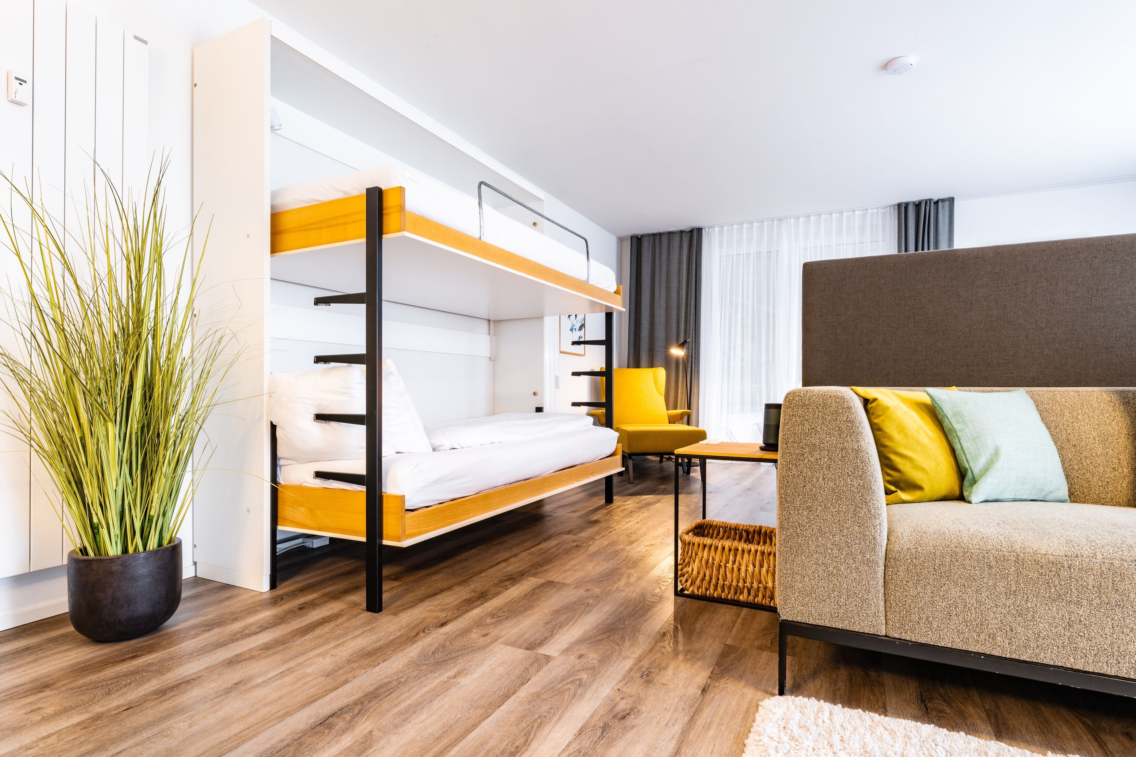 A modern hotel room with a bunk bed, a sofa, a small table, and a potted plant.