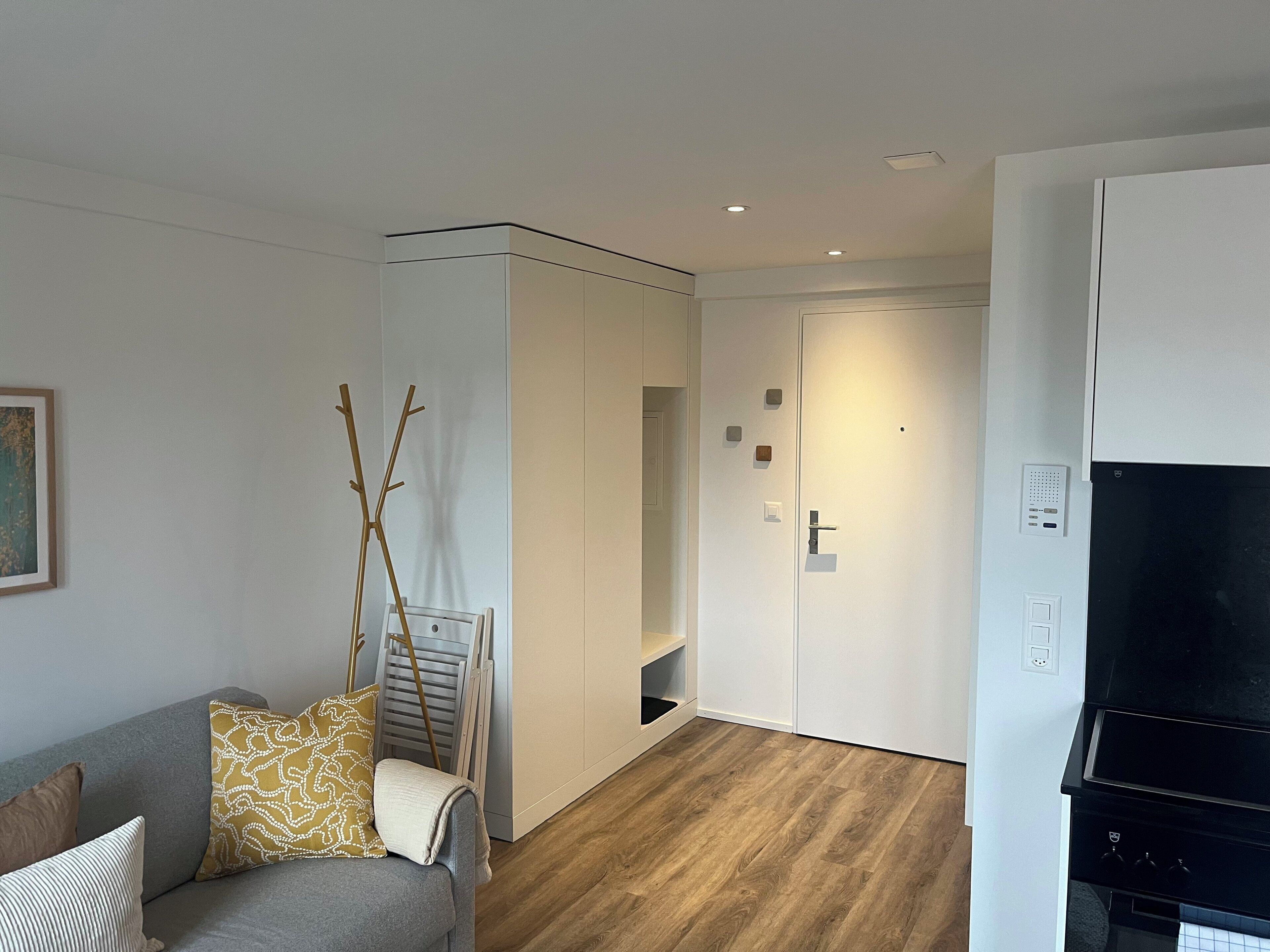 Un salon moderne avec un canapé gris, un plancher en bois et une porte blanche donnant sur un couloir.