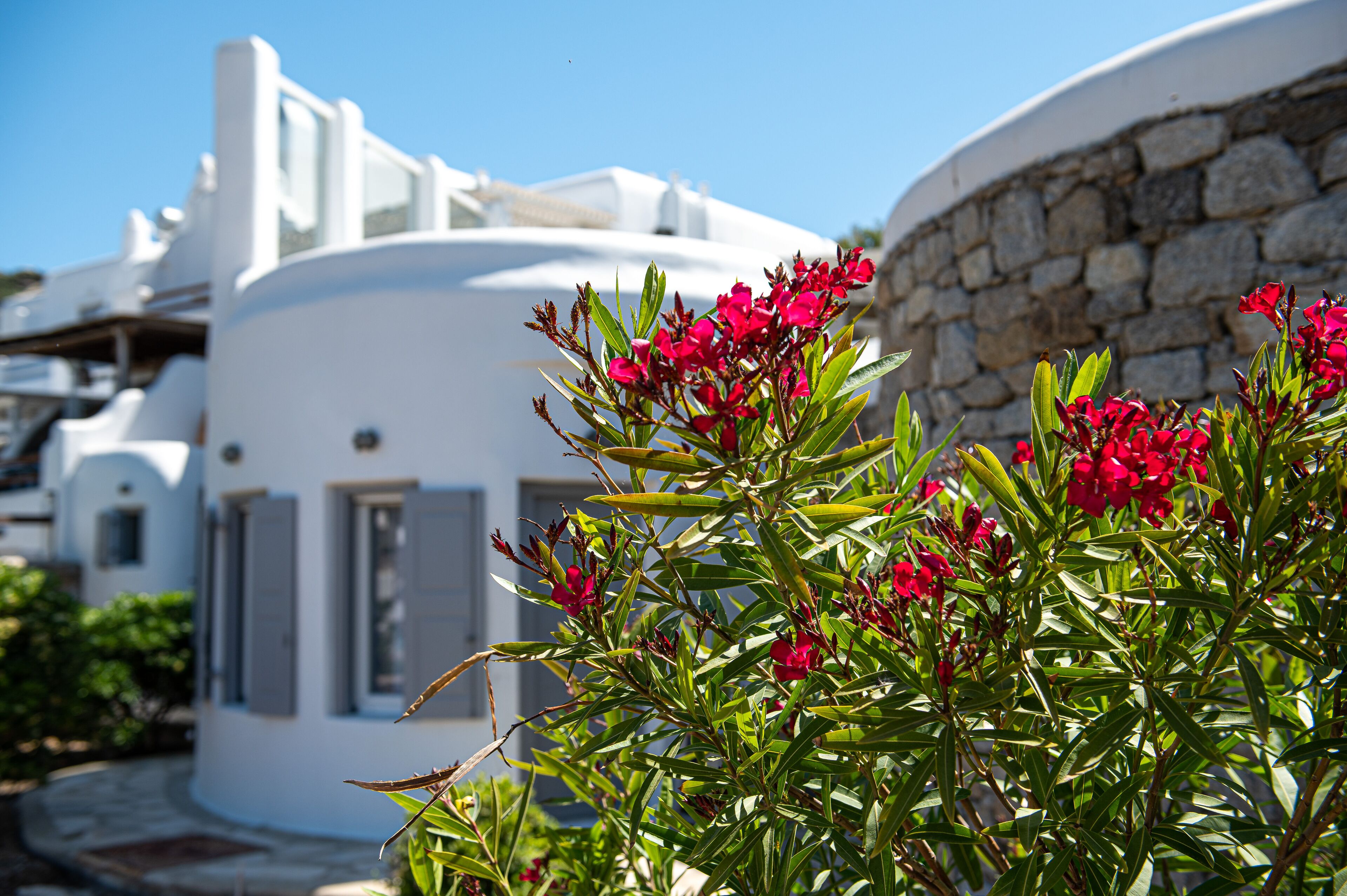 A white building with a stone wall, surrounded by greenery and red flowers.
