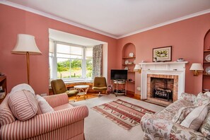 Télévision à écran plat, cheminée, lecteur de DVD, livres