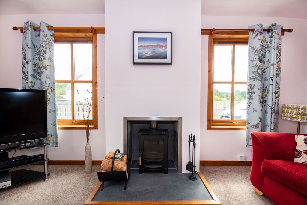 Flat-screen TV, DVD player, toys, books