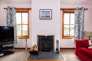 Televisión de pantalla plana, reproductor de DVD, juguetes, libros