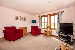 Flat-screen TV, DVD player, toys, books - Fernabeg (Tain)