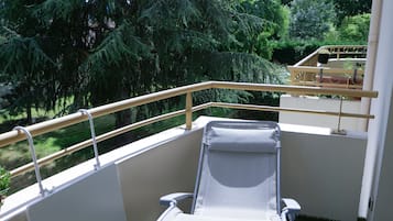 Quarto, 1 cama de casal, para não fumantes, vista para o parque | Vista da sacada