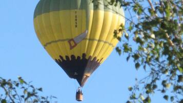 Un globo aerostático con las letras "F.C.R.S.M" a la vista, sobrevolando un árbol de hojas verdes.