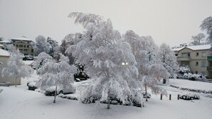 Un quartier résidentiel où les arbres et les maisons sont recouverts de neige.
