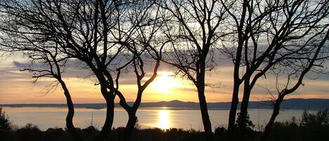 A sunset over a body of water with silhouetted trees in the foreground.