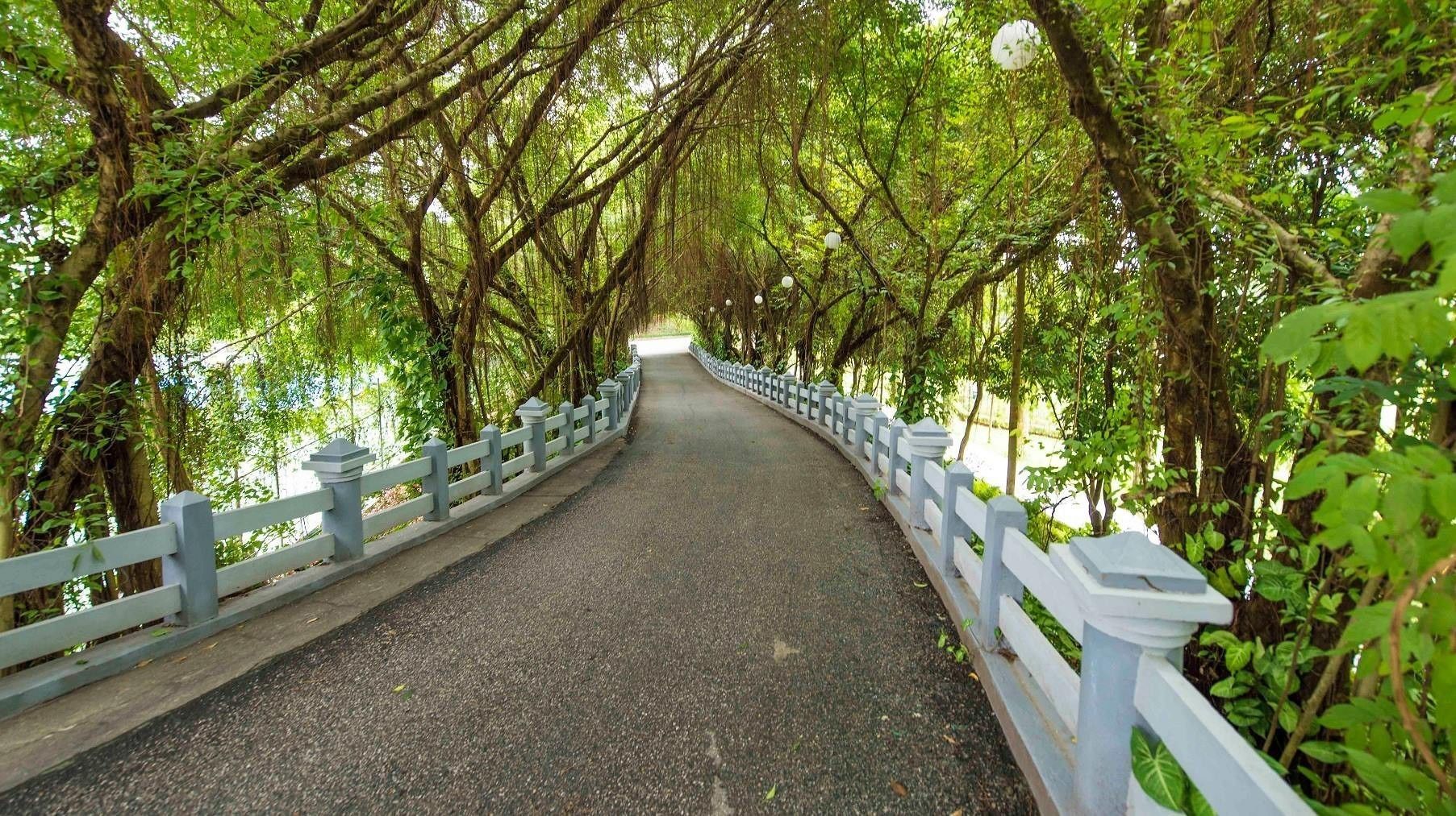 Un camino pavimentado bordeado por barandas blancas, rodeado de frondosos árboles verdes.