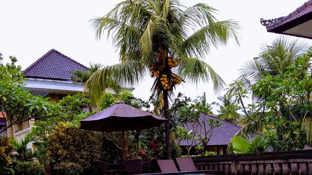 A swimming pool with clear blue water, surrounded by palm trees and a covered seating area. - Kartika Bungalows (Ubud)