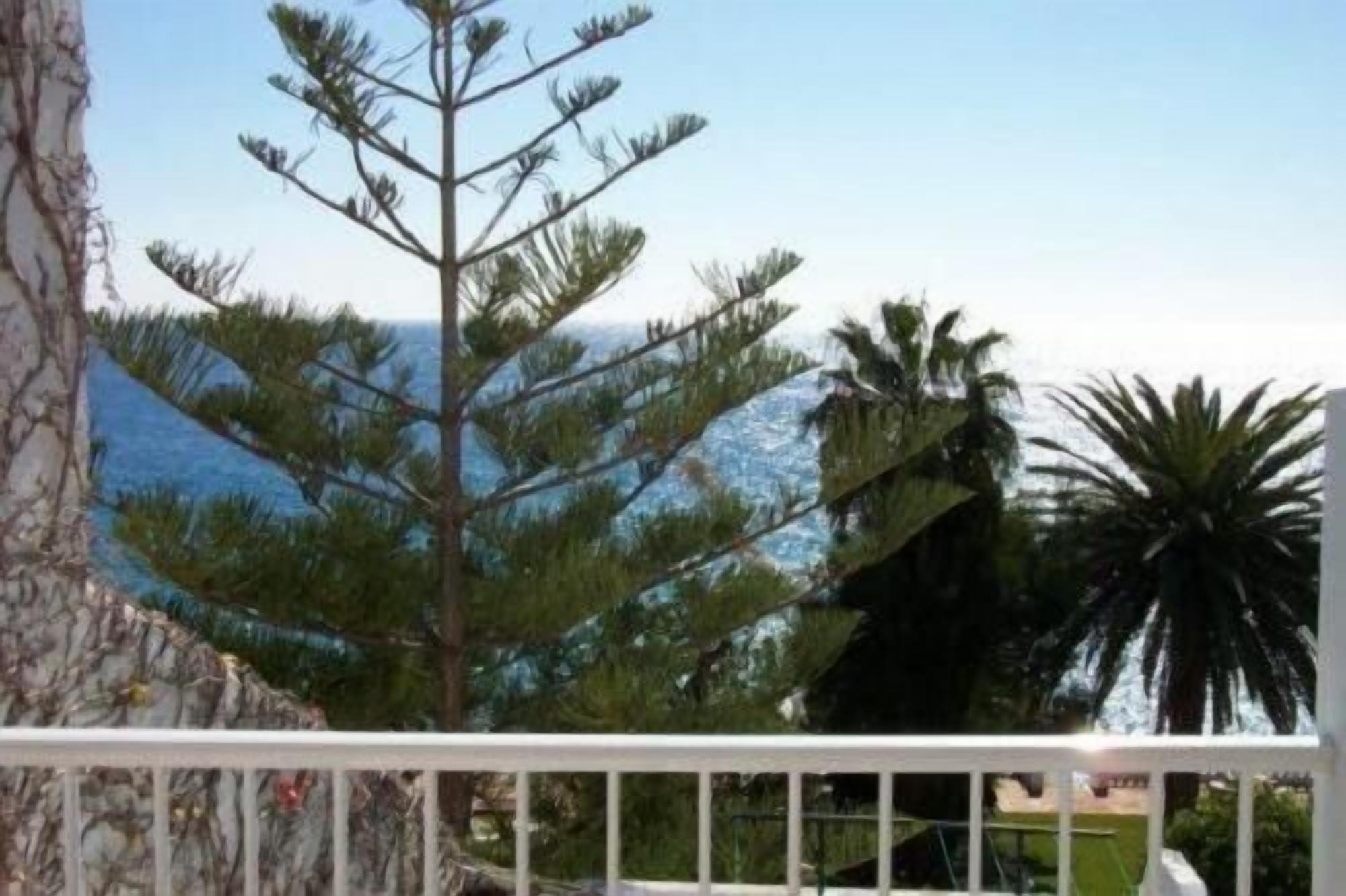 Un balcón con vista al mar, un pino y una palmera.