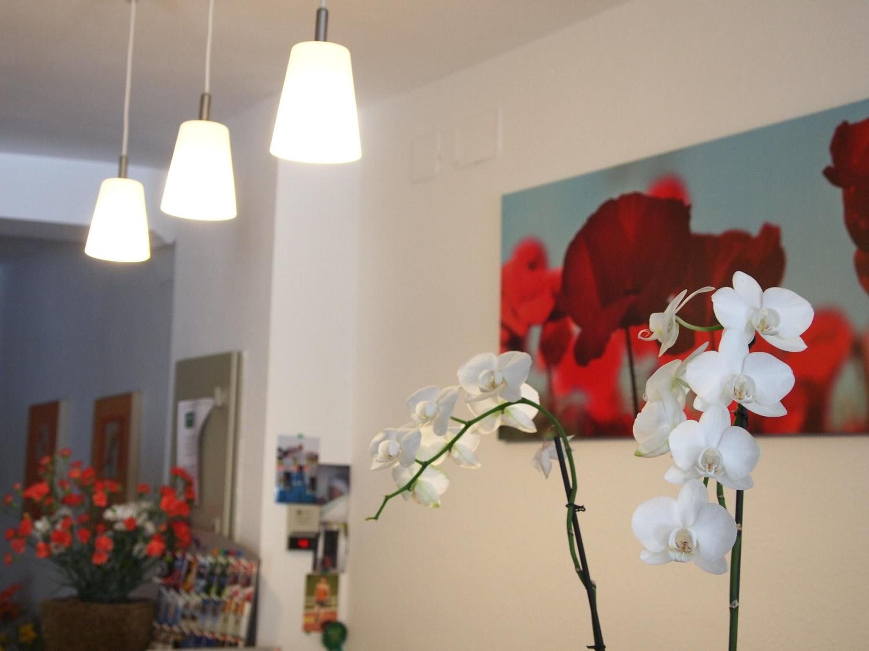 Foto - Hostal Tres Soles