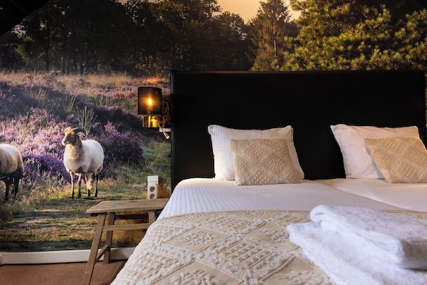 Zimmersafe, Schreibtisch, Verdunkelungsvorhänge, Bügeleisen/Bügelbrett