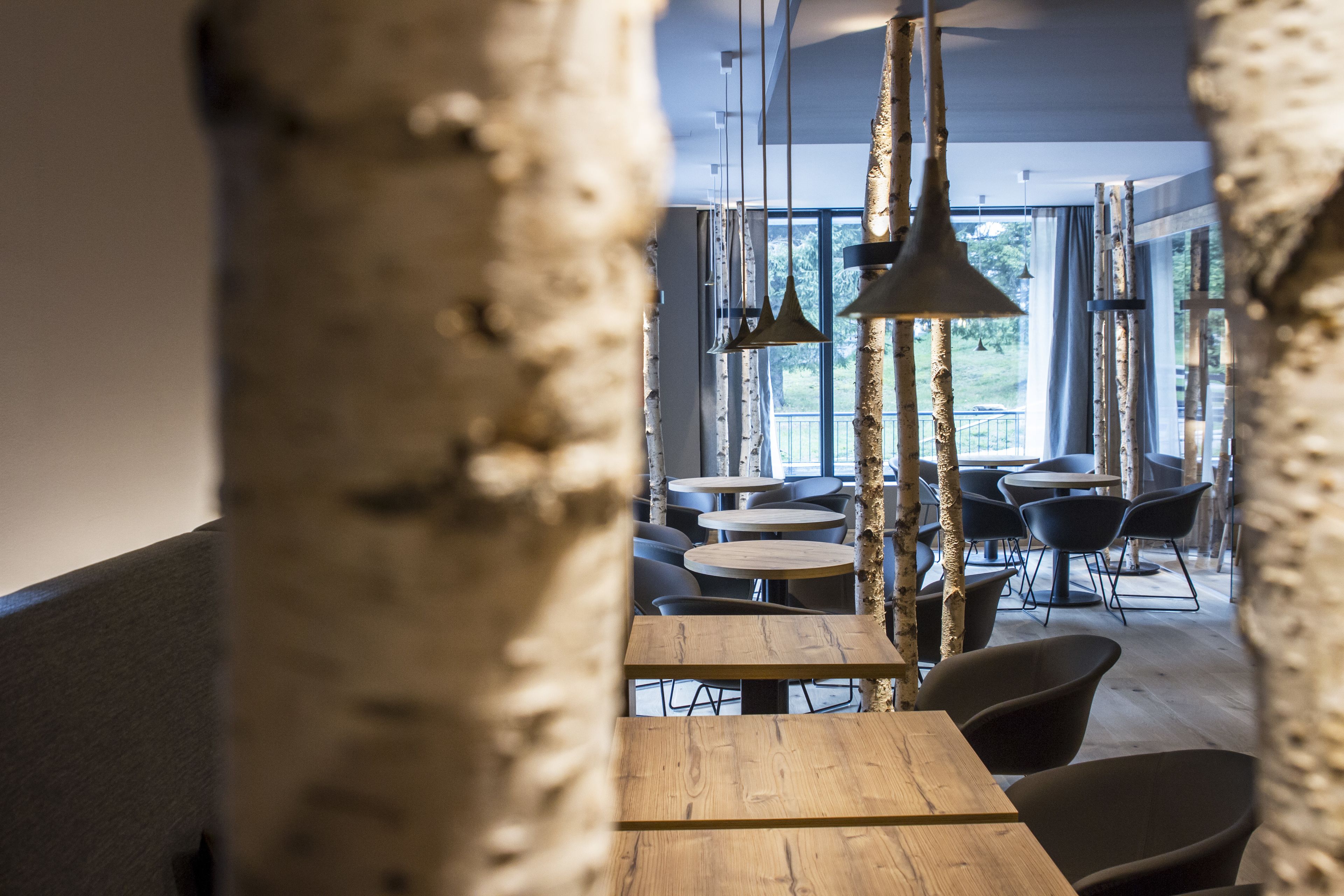 Bar (en la propiedad)