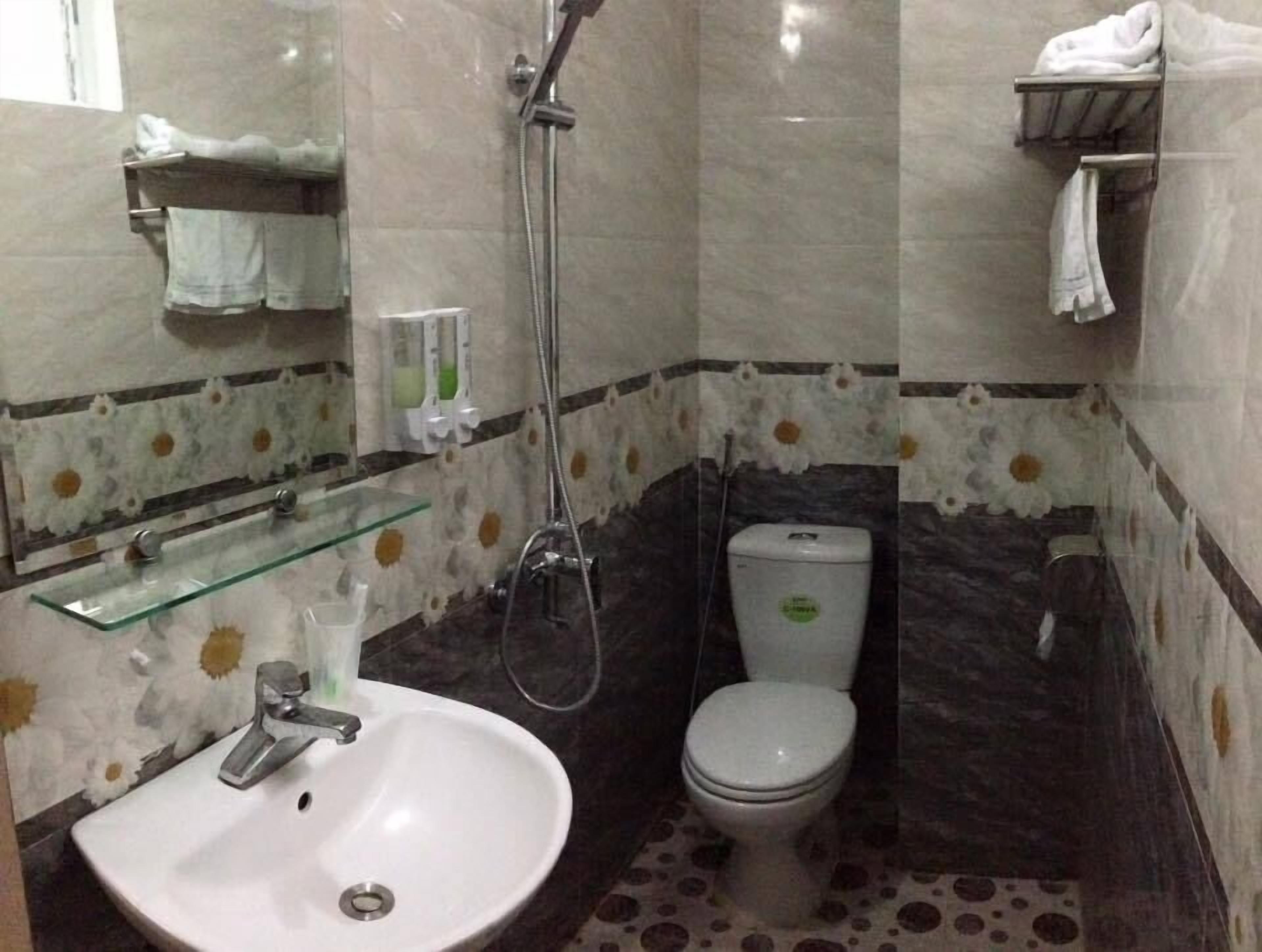 Bagno con lavandino bianco, WC, doccia e ripiano in vetro.