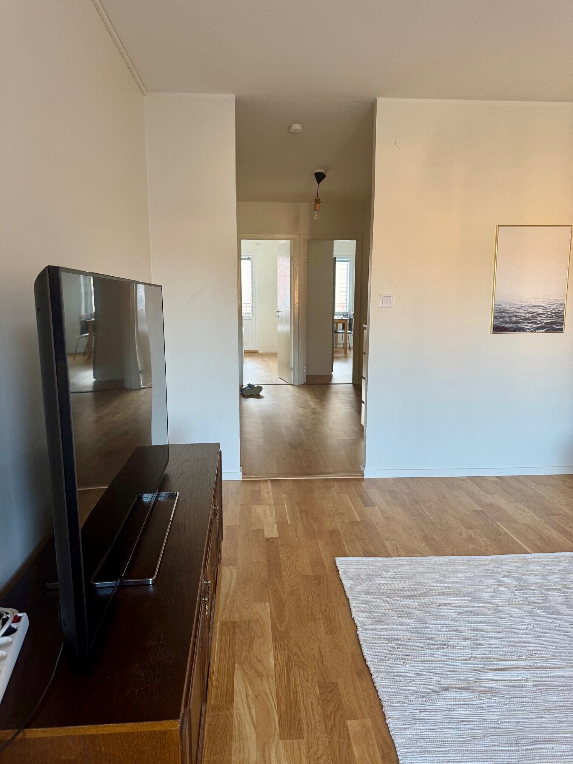 comfort apartment | living area | 55-inch tv with premium tv channels, netflix, streaming services