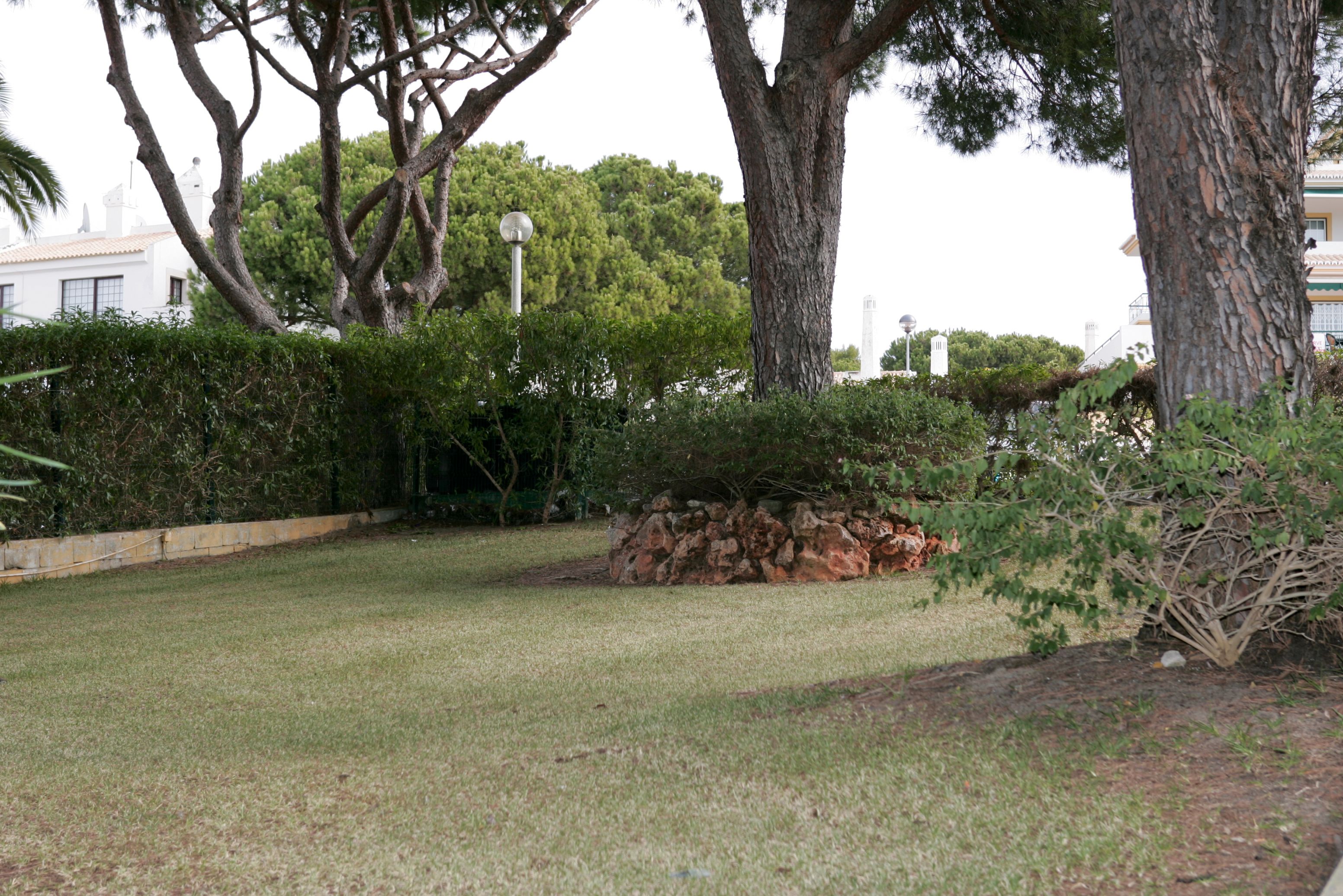 A grassy area with trees and a stone wall.