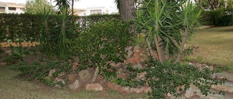 Un jardin aménagé avec une variété de plantes, un mur en pierre et un sentier.
