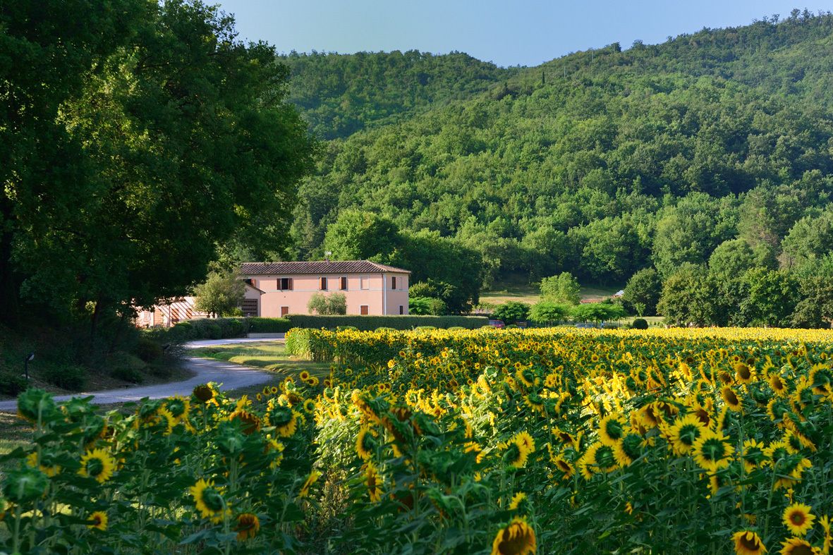 Entrada al alojamiento