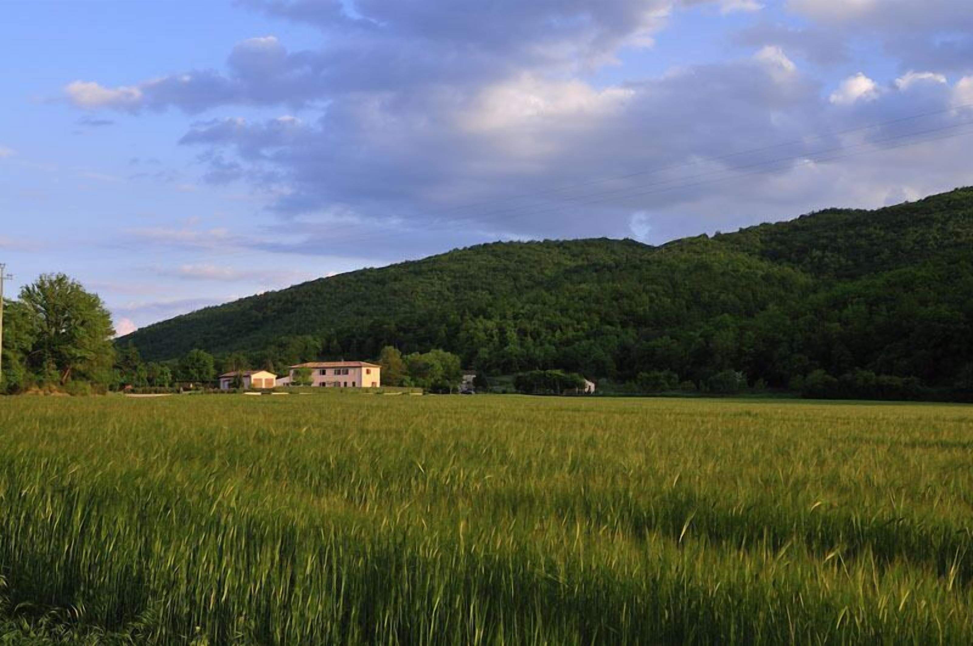 A rural landscape with a house in the foreground and a forested hill in the background.