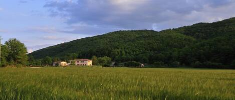 A rural landscape with a house in the foreground and a forested hill in the background.