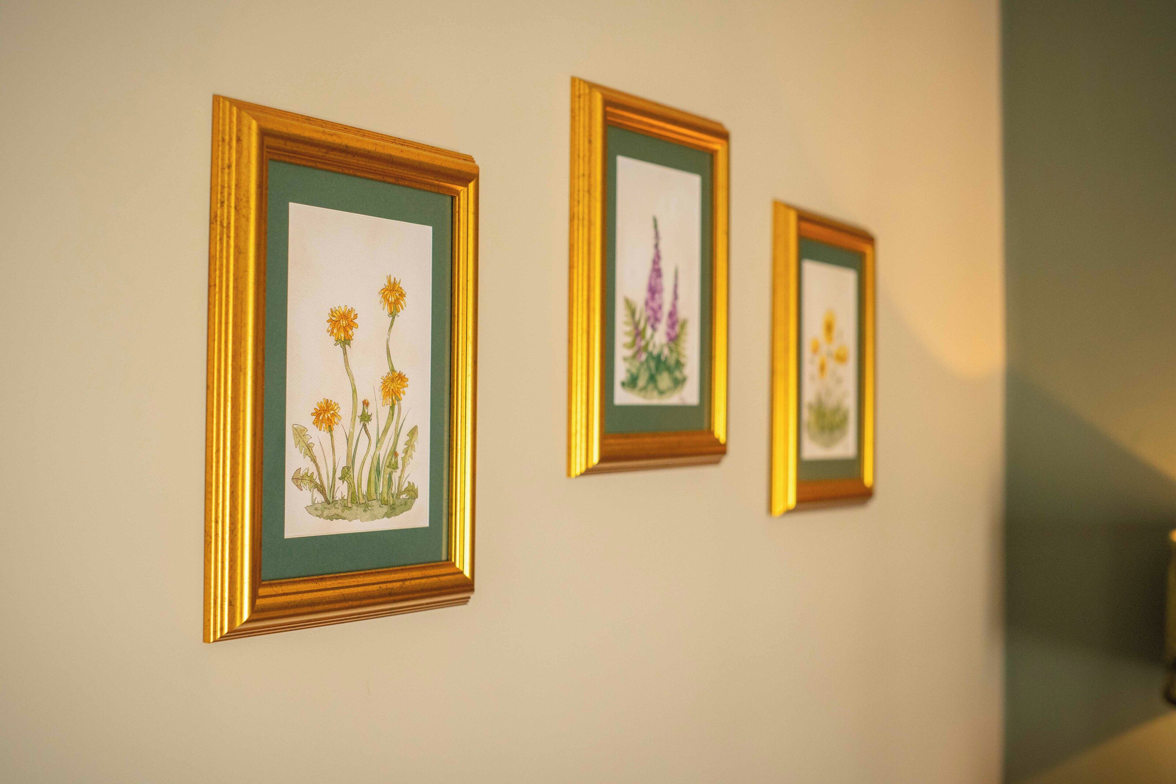 Three framed botanical illustrations on a wall.