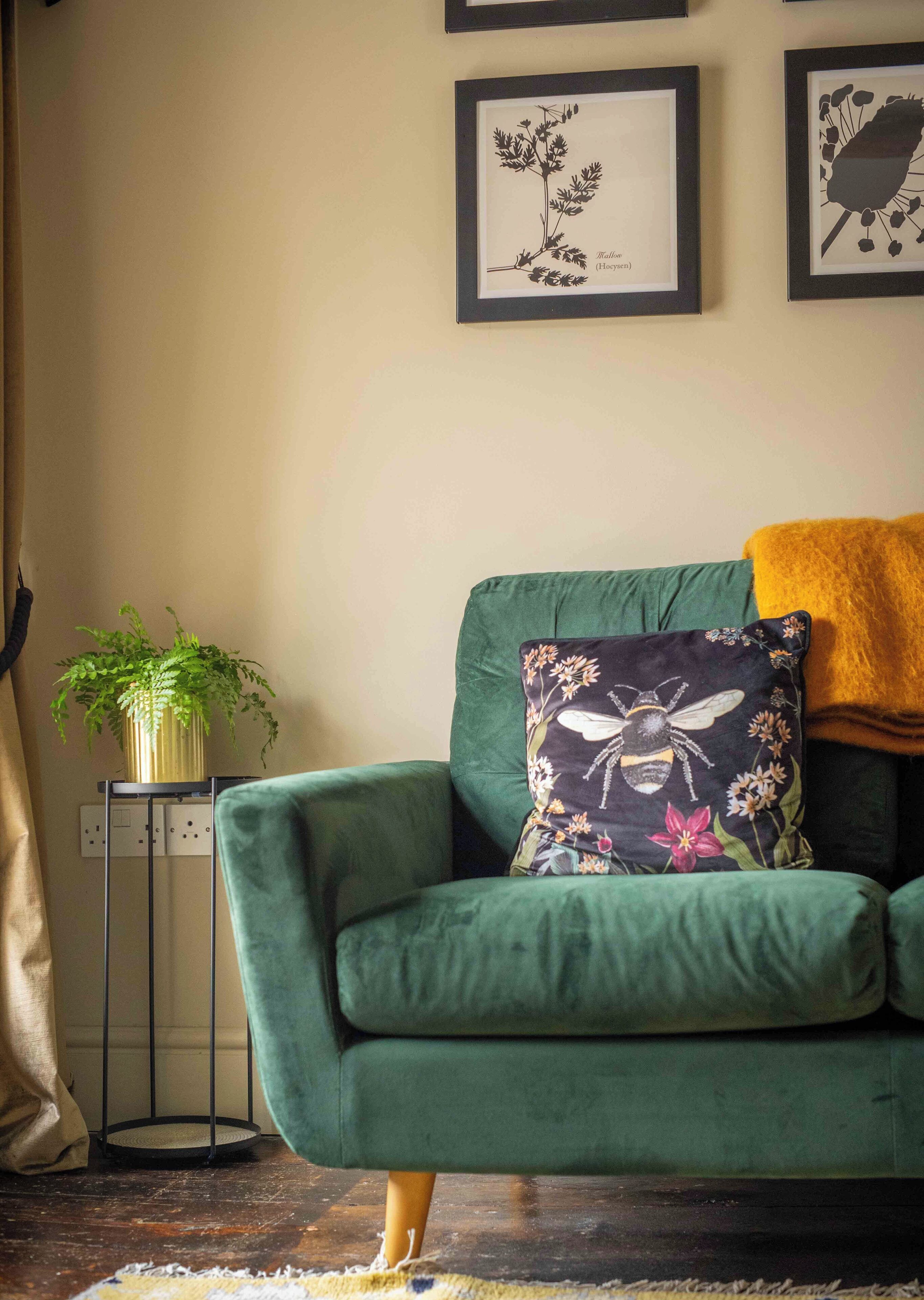 A green sofa with a floral pillow, a potted plant, and framed botanical prints on the wall.