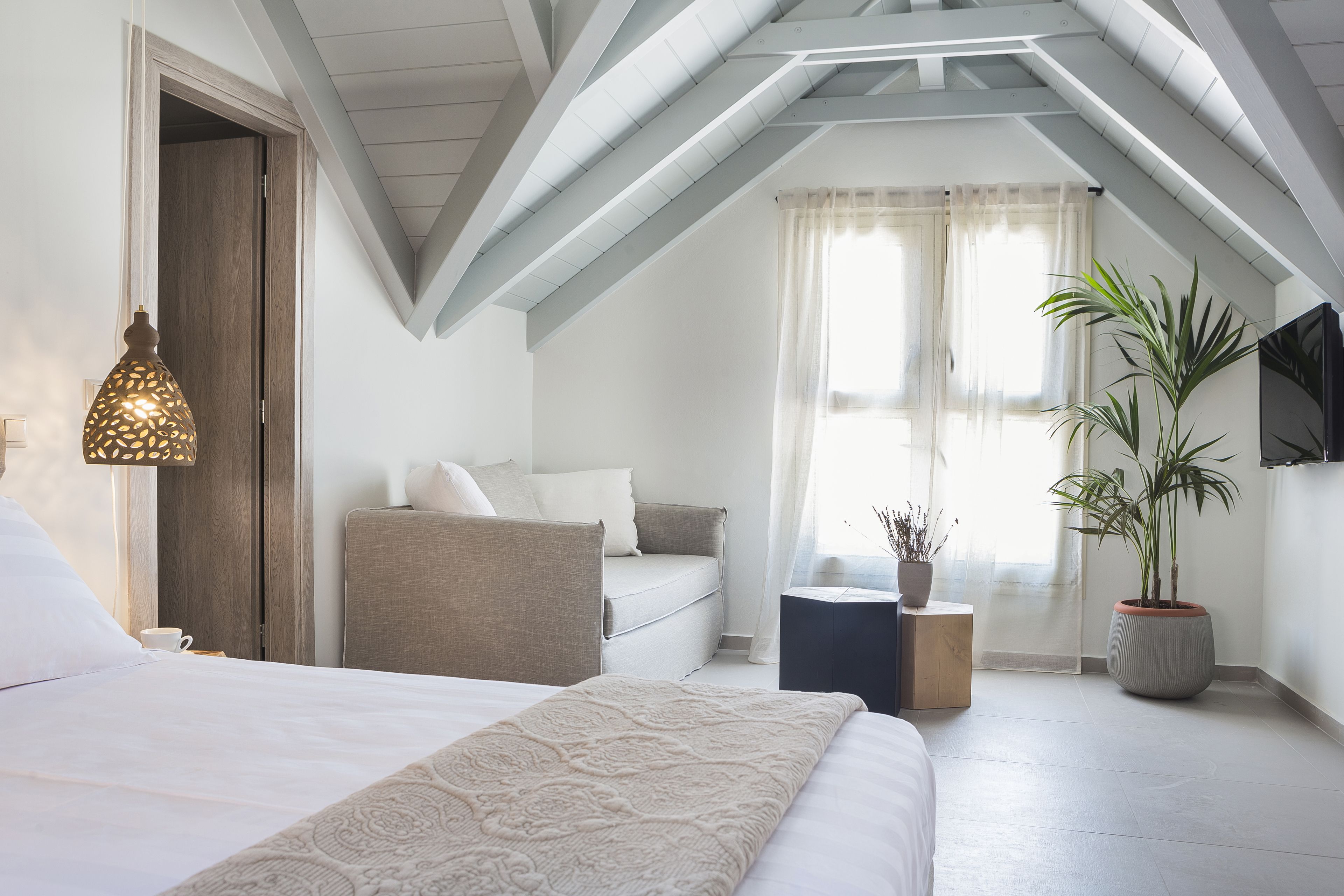 A bedroom with a bed, a sofa, a potted plant, and a flat-screen TV on the wall.