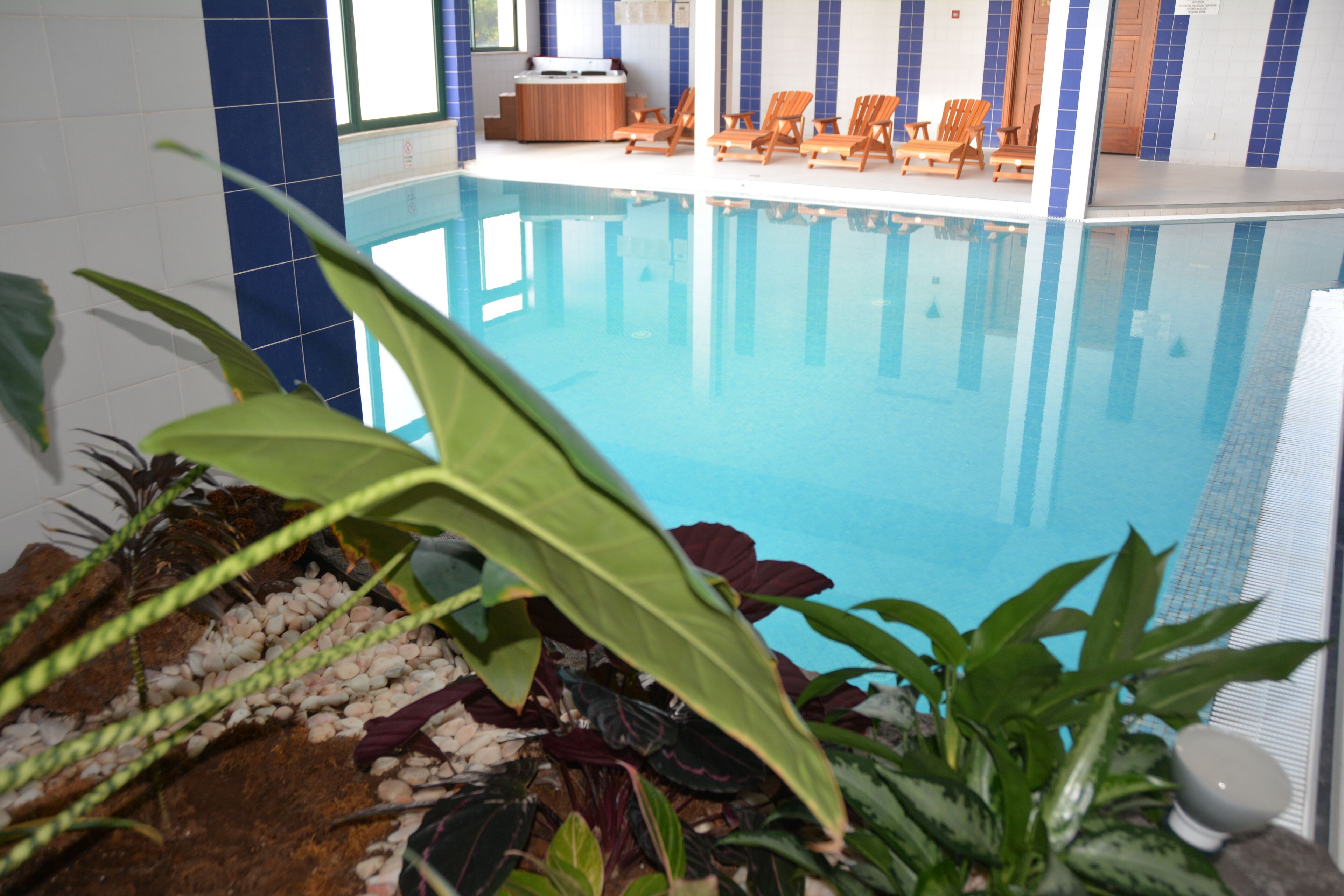 indoor pool, outdoor pool, open 9:00 am to 8:00 pm, pool loungers