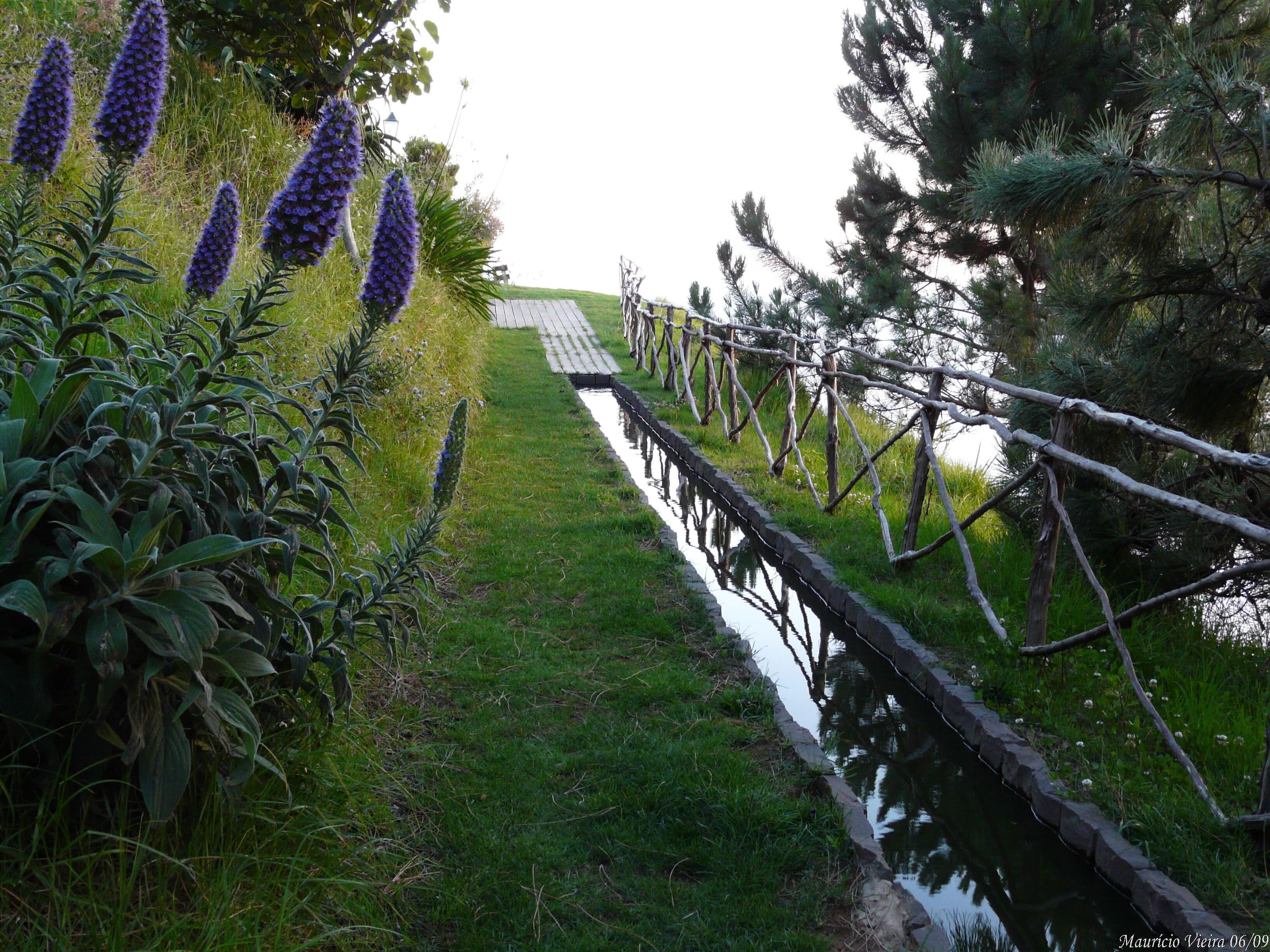 Een pad dat leidt naar een houten brug over een klein waterpartij, omringd door groen en een hek.