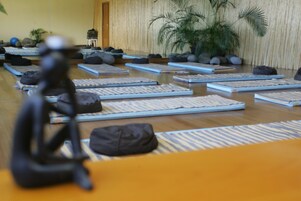 Una habitación con tatamis, una mesita baja y una planta grande.