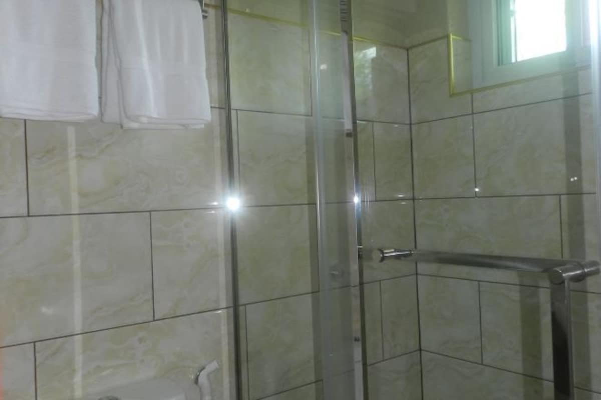 A glass-enclosed shower with a handrail, tiled walls, and a window.