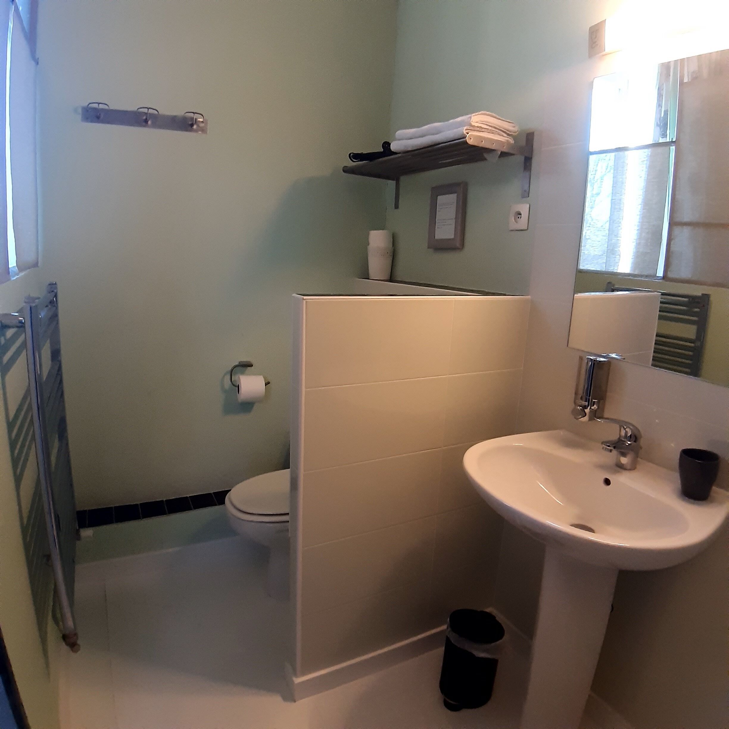 A bathroom with a toilet, sink, and a towel rack.