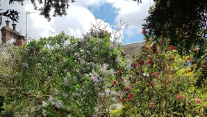 A well-maintained garden with various flowering plants and a lawn. - Les Bruyères de Rouen - Seasonal rental (Sotteville-lès-Rouen)