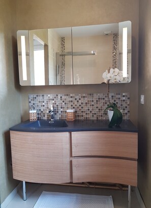 Regadera, secadora de cabello, toallas, papel de baño 