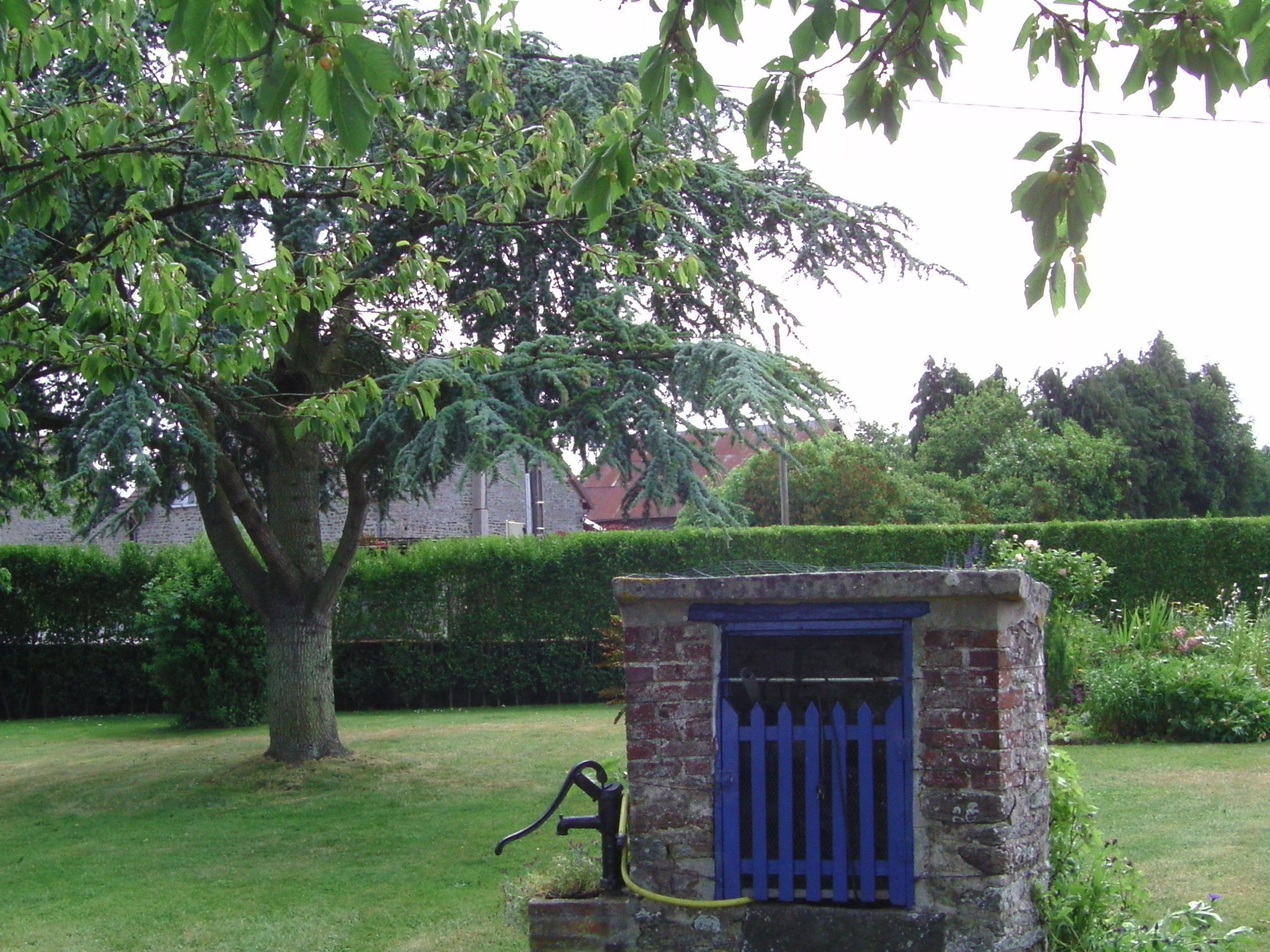 Un jardín con un árbol, una pequeña estructura de ladrillo con una verja azul y una manguera.