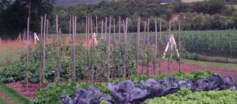 Chambre d'hotes de la Mousse