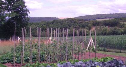 Chambre d'hotes de la Mousse