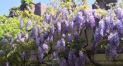 Apartment with terrace and garage in the center of Chartres.