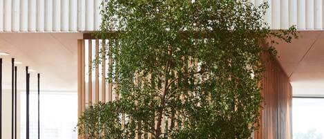 Un espacio interior moderno con un gran árbol en maceta, listones verticales de madera y una zona de recepción con mostrador y elementos decorativos.