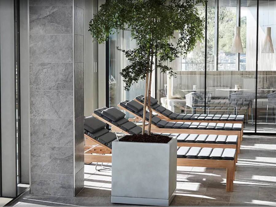 A modern waiting area with lounge chairs and a potted tree.