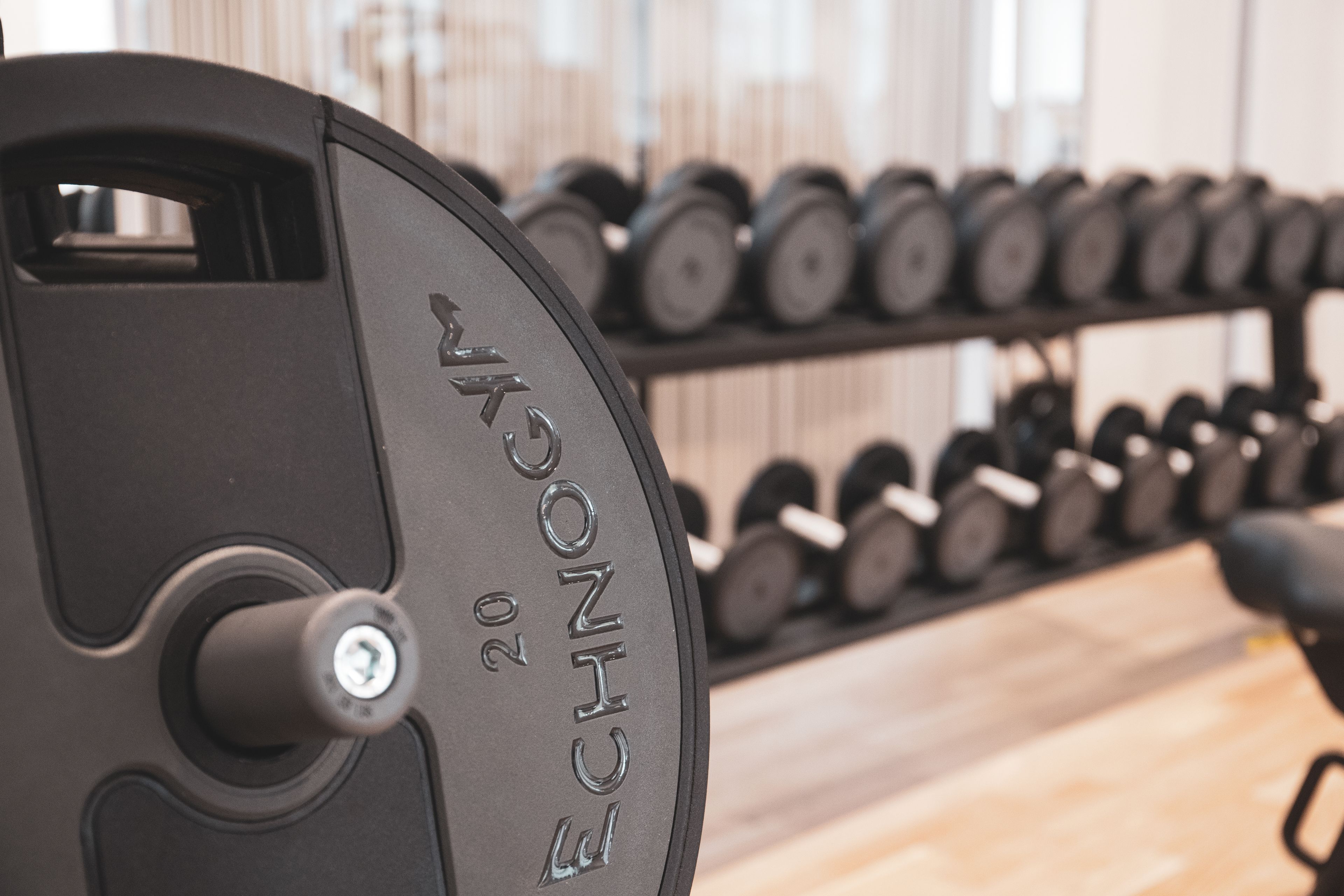 A weightlifting bench with a weight stack labeled "TECHNO" and a rack of dumbbells in the background.