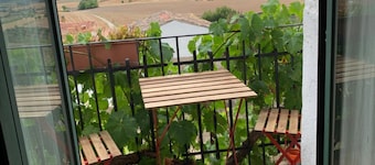 El Olivo de Sansol