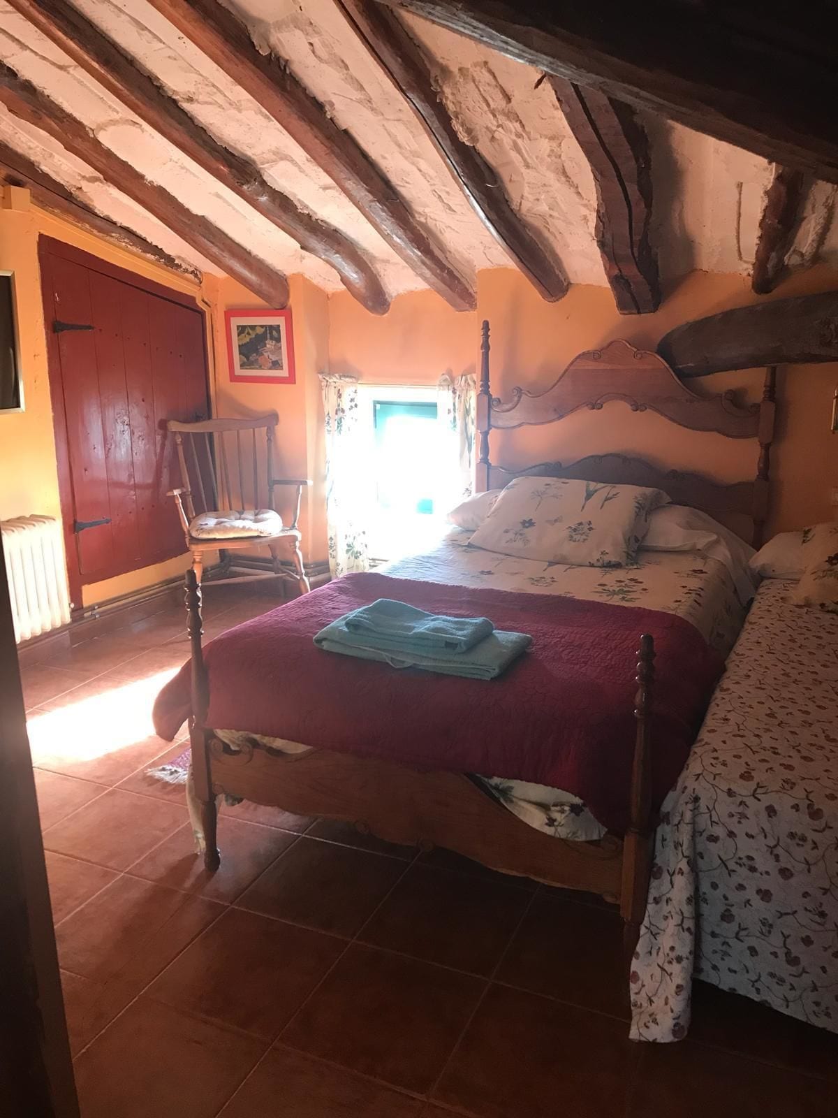 Foto - El Olivo de Sansol