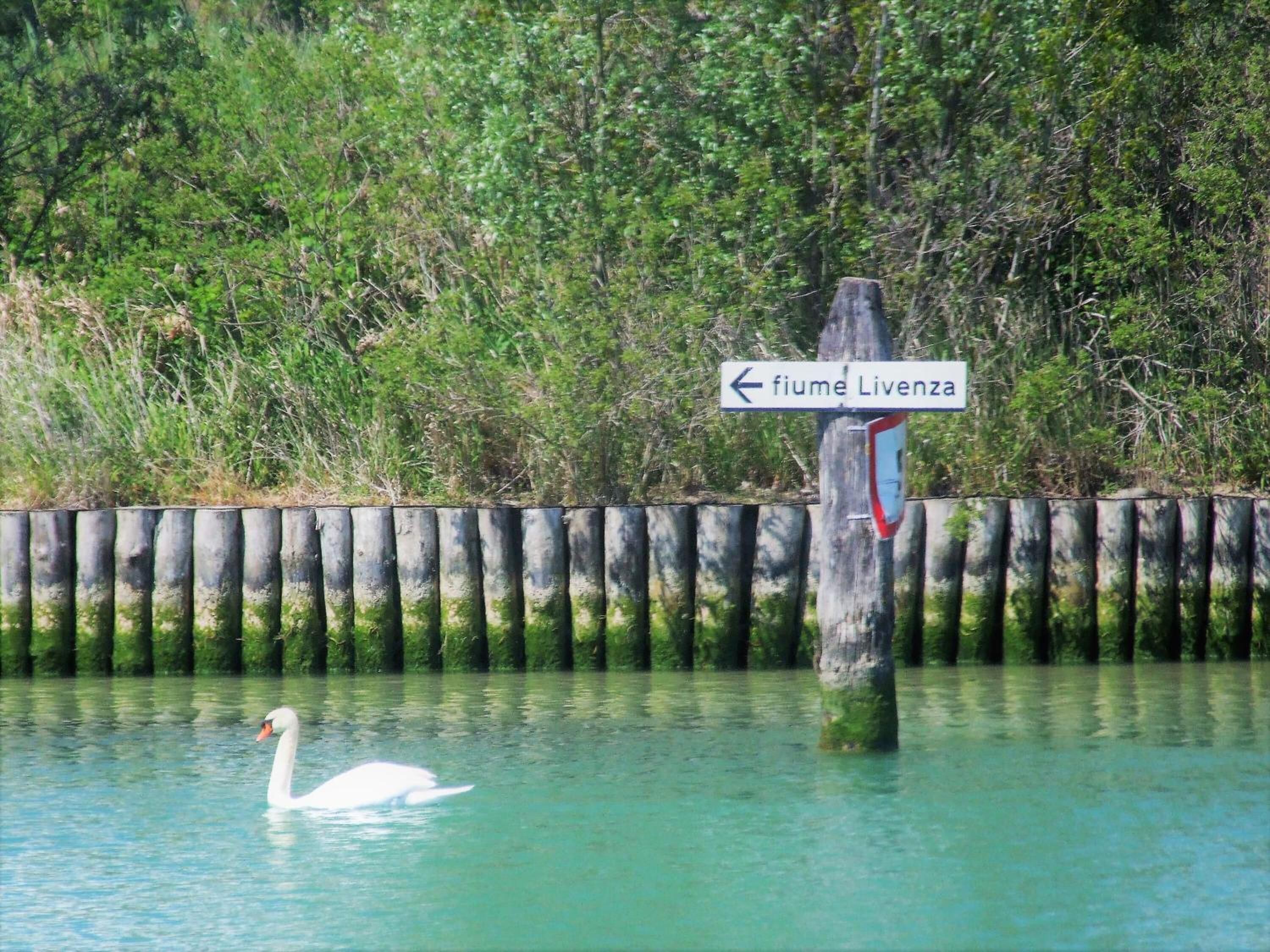 Photo - Agriturismo Sesta Presa