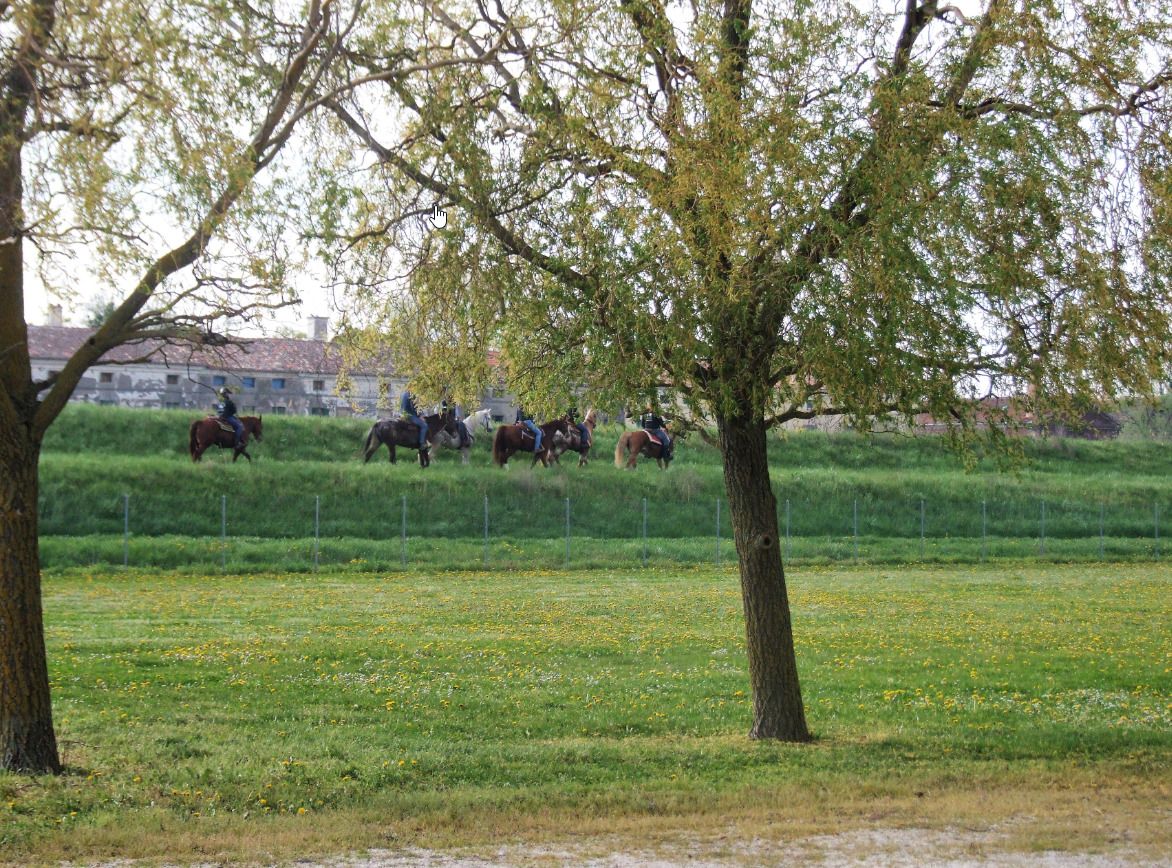 Photo - Agriturismo Sesta Presa
