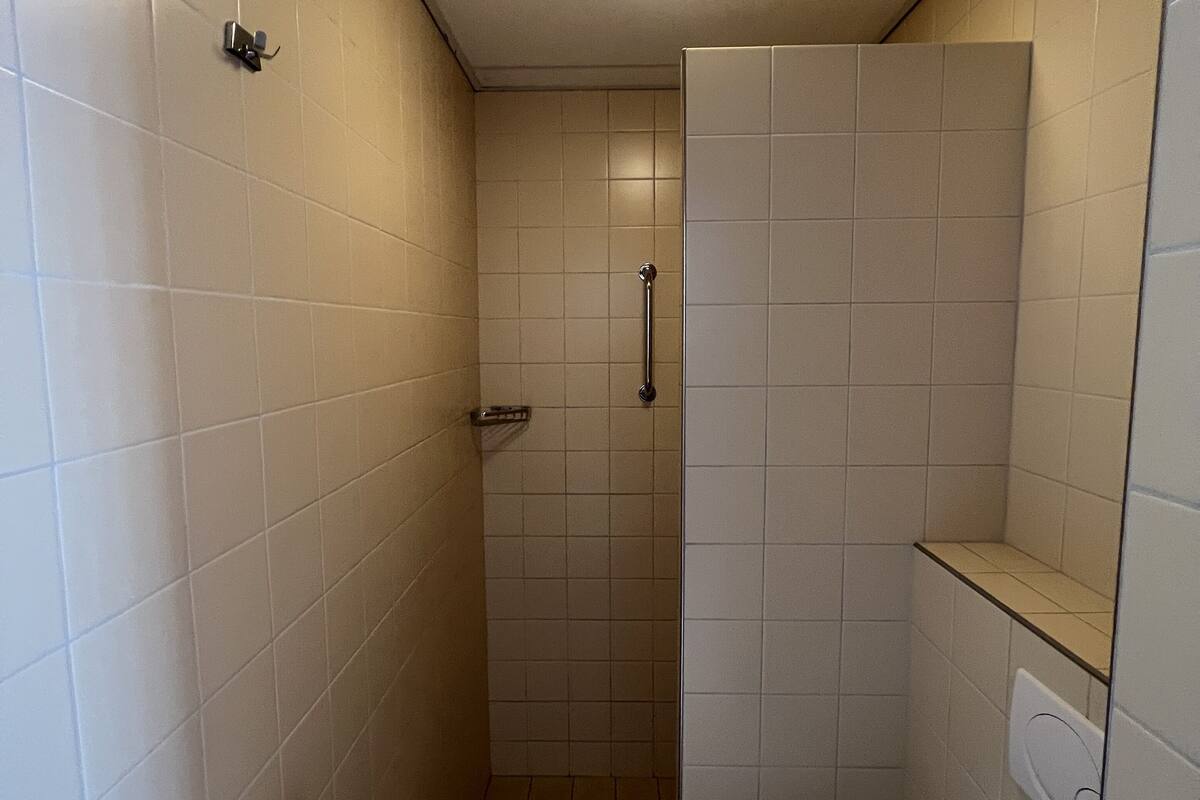 basic room | bathroom | shower, designer toiletries, hair dryer, towels