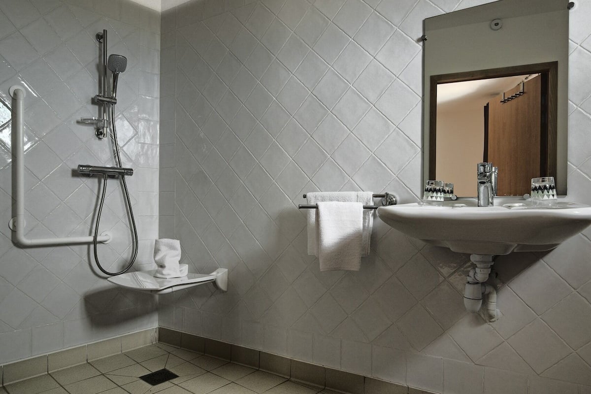 comfort double room, ensuite, mountain view (avec terrasse) | bathroom