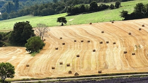A rural landscape with fields of lavender and hay bales. - Hôtel Galilee (Saint-Michel-l'Observatoire)
