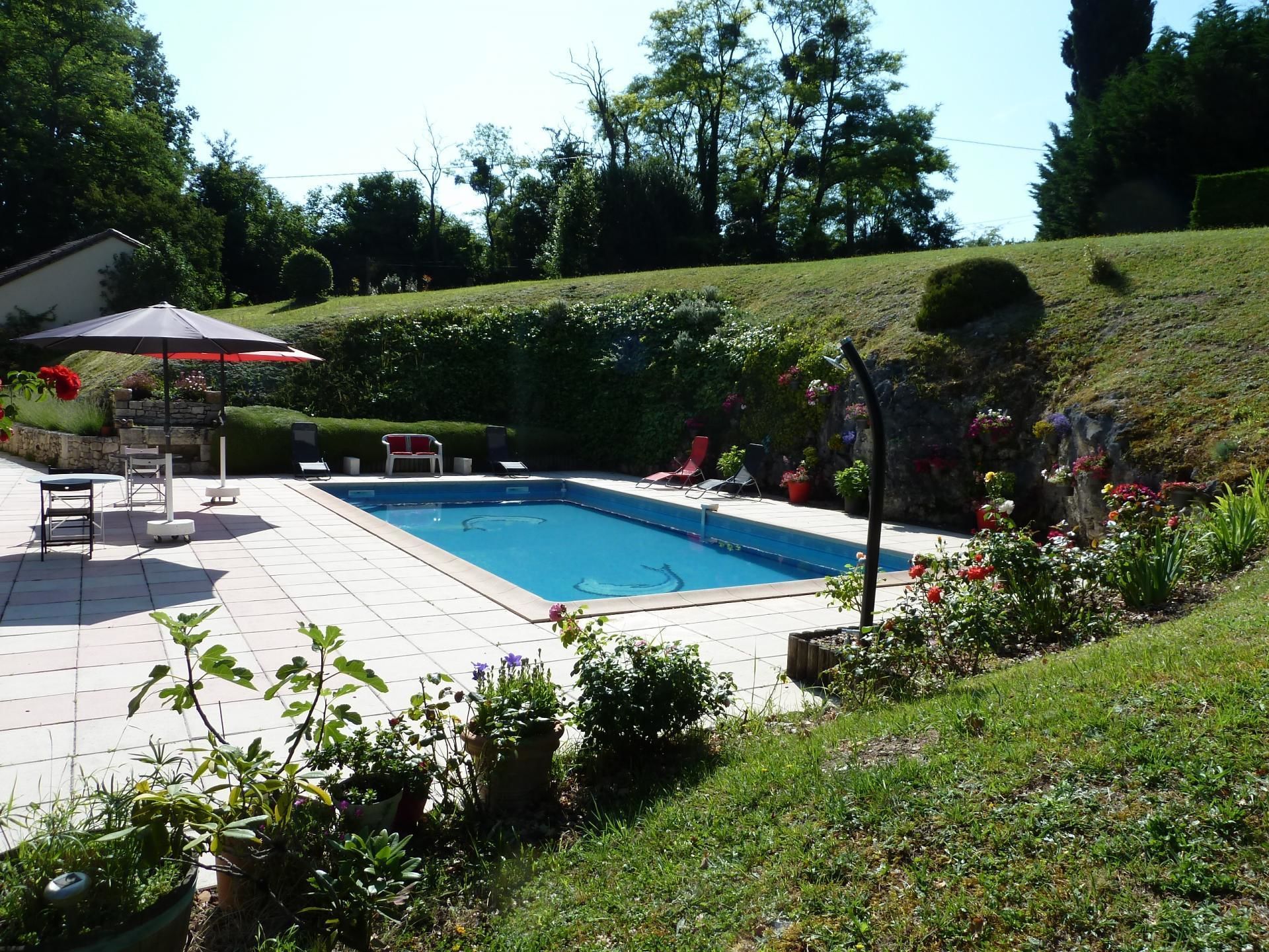 Une piscine rectangulaire avec une terrasse carrelée, entourée de plantes en pot et de quelques chaises longues.