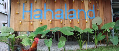 Vista frontal de la propiedad